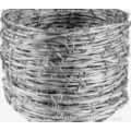 Double strand galvanized barbed wire